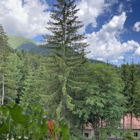 Casa Iris-Hotel & Restaurant Sinaia Exterior photo